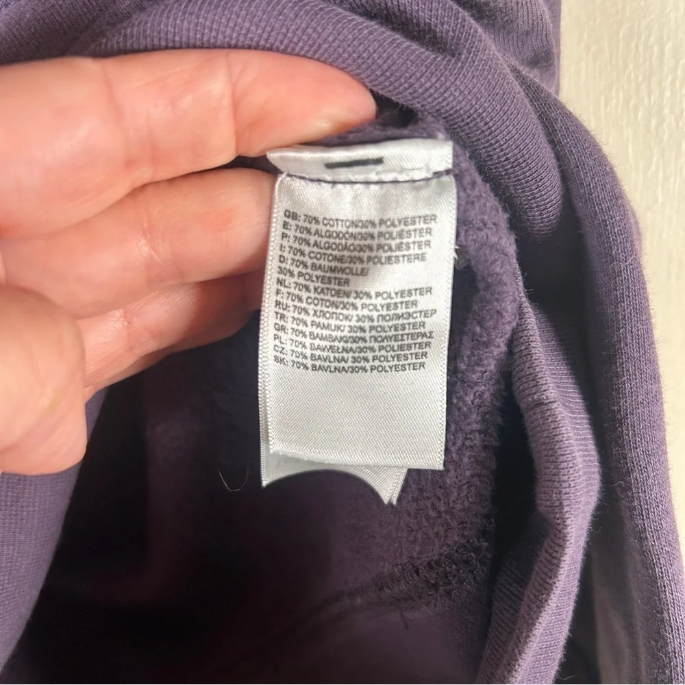 The North Face Men's Box Logo Pullover Hoodie Size Small Purple Orange